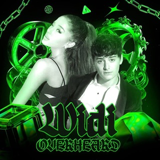 ┊ 𝗪𝗜𝗗𝗜 ` 𝖮𝖵𝖤𝖱𝖧𝖤𝖠𝖱𝖣! ⊹ 𓂃