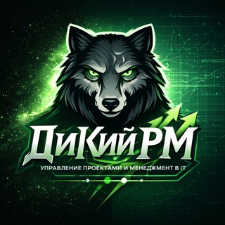 ДиКий PM | Менеджмент в IT без иллюзий. Дмитрий Курамшин