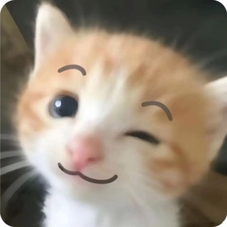 Я хочу