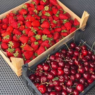Ягода из Киргизии🍓НОВОСИБИРСК