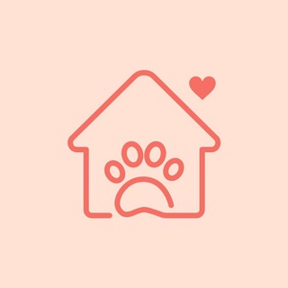 ВАШ ДОМАШНИЙ ВЕТВРАЧ • Your Home Vet: ветеринарная служба