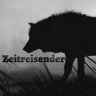 Zeitreisender - путник кроз време