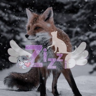 ⊹ ࣪ ˖ 𝒟𝑜𝓂𝒾𝓀 𝓏𝒾𝓏𝓏𝒾|Wildcraftᡣ𐭩