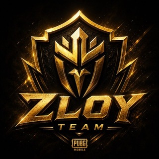 ZLOY×TEAM🔥