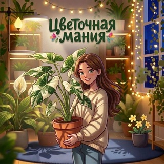 🪴Цветочная мания🪴